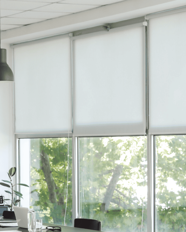 Roller Shades-image