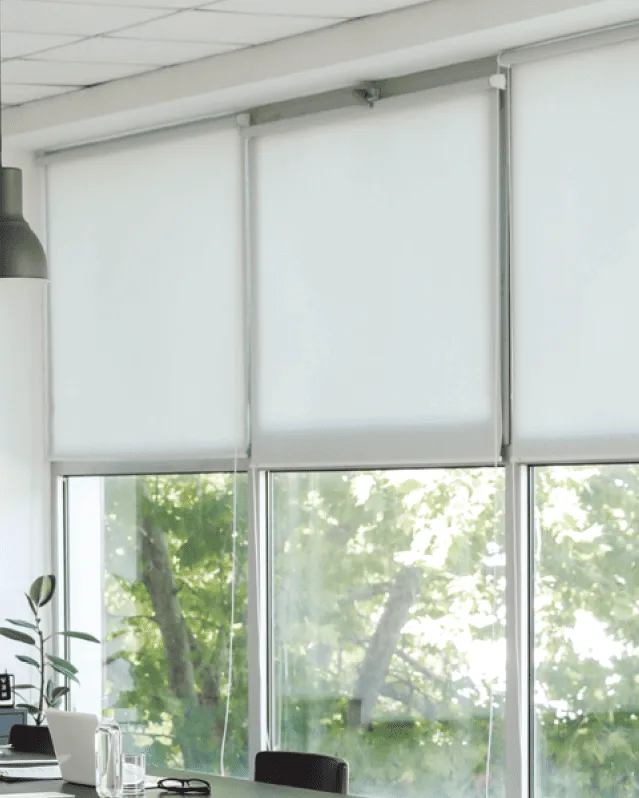 Zebra/Combi Shades-image 1